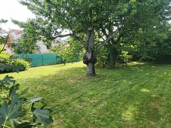 Terrain 449m2 - BRENTHONNE