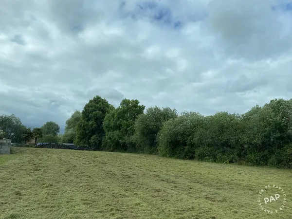 Terrain à bâtir Vente Monein   198000€