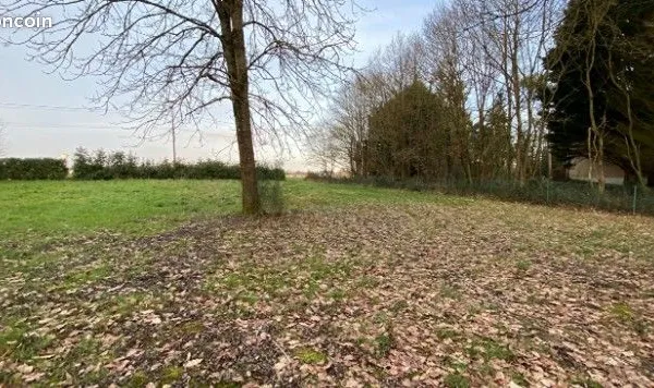 Terrain 2 300 m²
