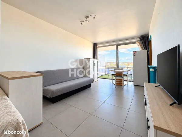 Appartement 1 pièce 29 m²