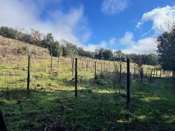 Terrain Vente Saint-Julien  5470m² 12000€