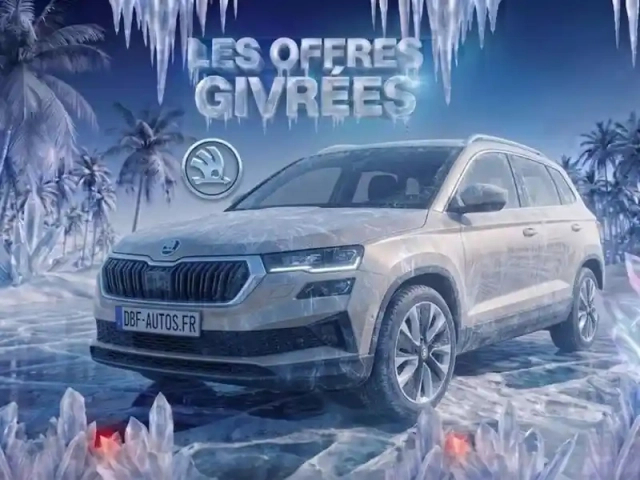 Skoda Karoq 2.0 tdi 116 ch scr dsg7 style — photo 11
