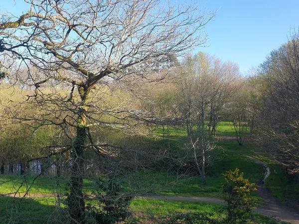 Appartement meublé 2 pièces 47 m² Saint Avé