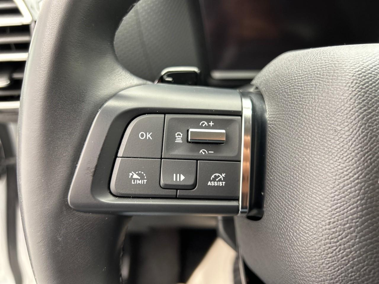 Citroën C4 puretech 130 s&s eat8 shine — photo 24