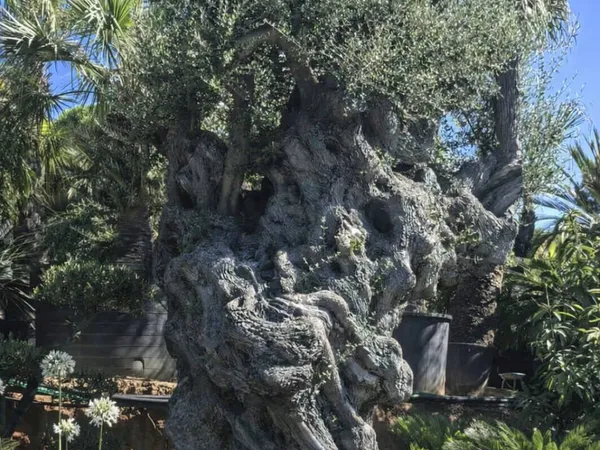 Cession de parts sociales – Jardinerie rentable – Golfe de Saint‑Tropez