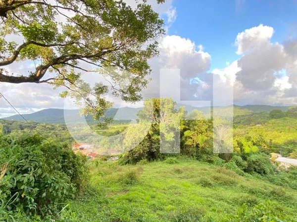 Terrain constructible 3367 m²