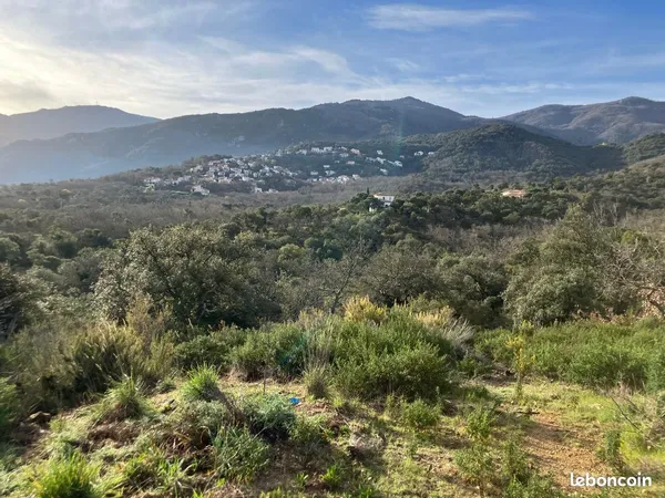À vendre - Très beau terrain d'environ 6 500 m² à Villelongue-dels-Monts