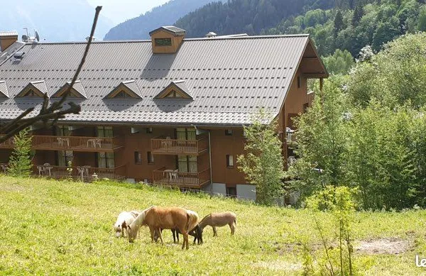 Duplex 6 personnes domaine Sybelles pied des pistes