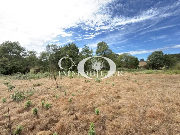 Terrain agricole