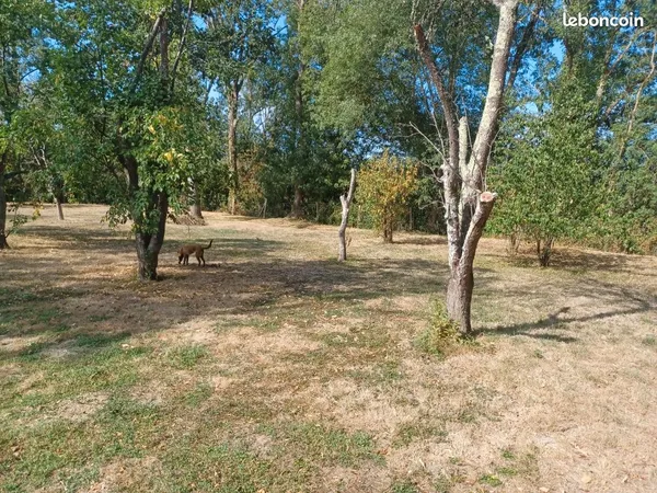 Terrain de loisir