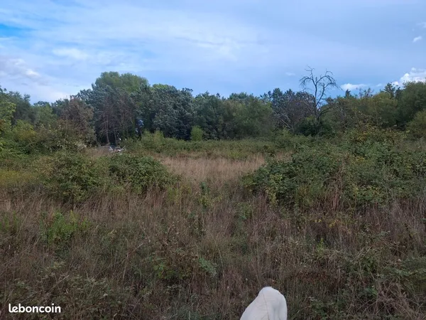 Terrain montpellier 1 hectare