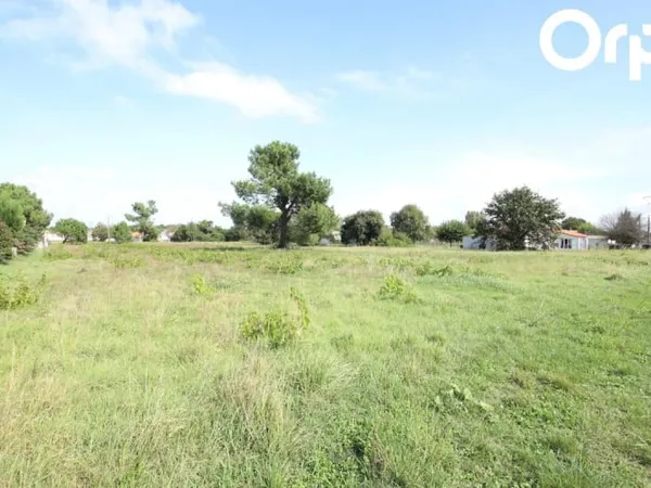 Terrain 442 m²