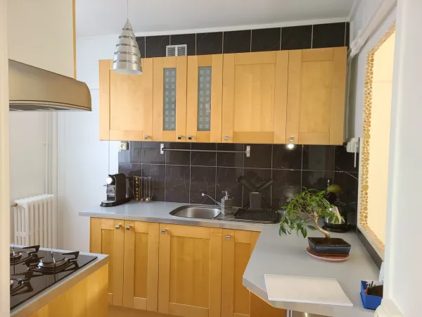 Appartement à vendre 3 pièces (21)