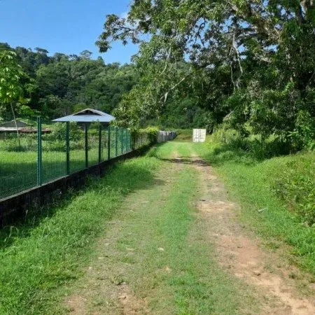 Terrain 7351 m²