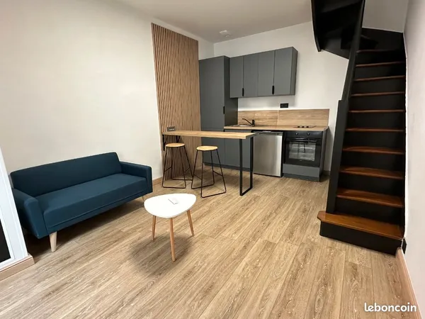 Charmant duplex avec extérieur centre ville d'Angers