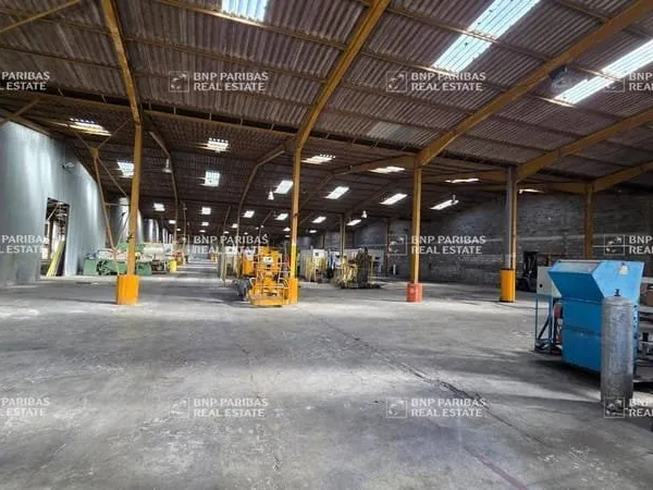 Local d'activité 6900 m²