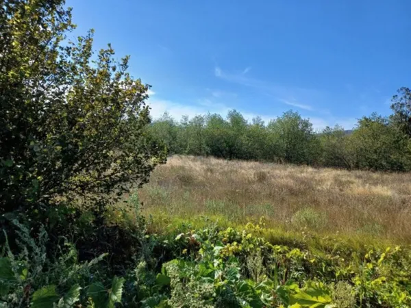 Terrain 579 m²