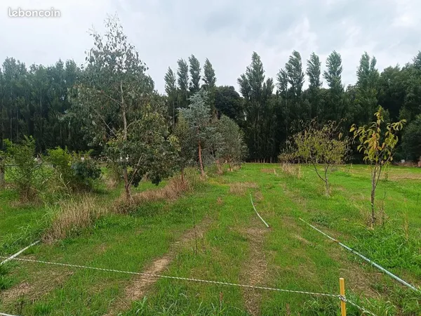 Jardin potager