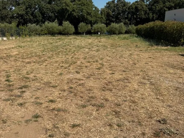 Vente terrain constructible Saze