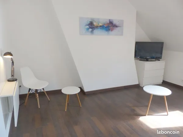 Colocation chambre meublé dans Appt 175m² proche Grandmont 2 Lions Tours