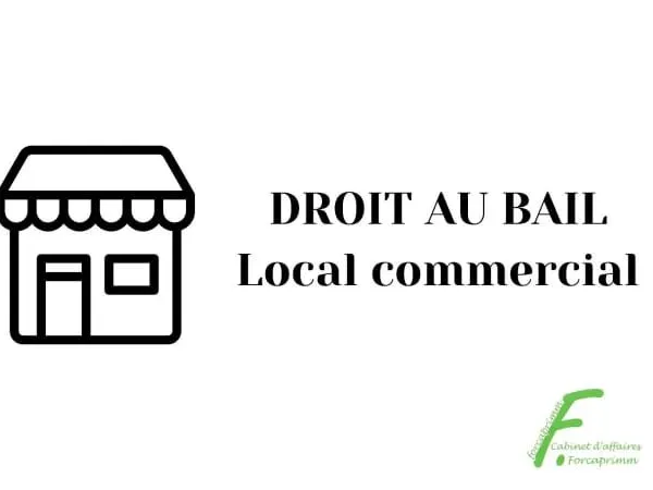 Commerce 54 m²
