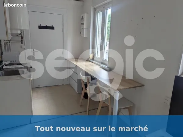 Appartement 1 pièce 19 m²