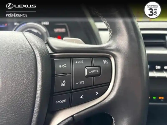 Lexus Ux 300e executive — photo 12