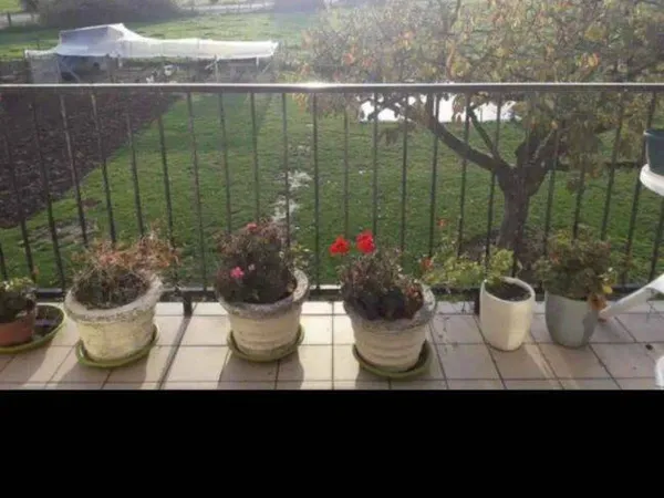 Maison 9 pièces 195 m²