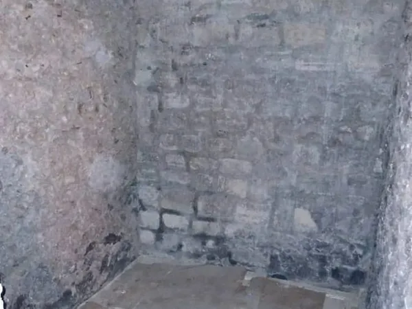 Cave - Rue Saint Ambroise