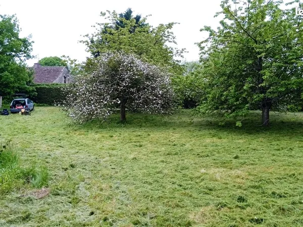 Terrain d'agrément (verger)