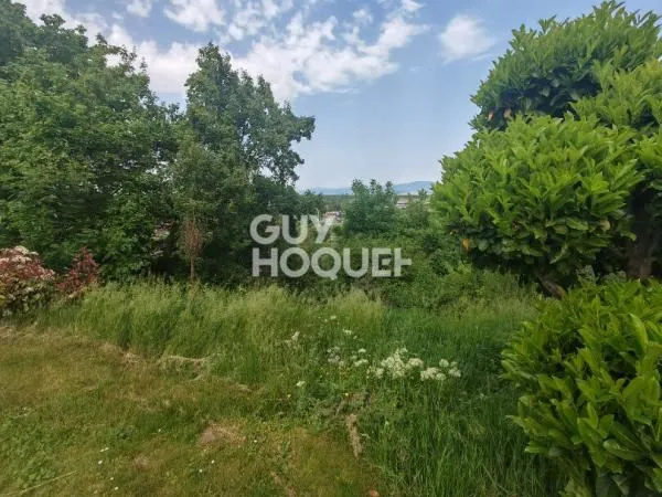 Terrain Mulhouse