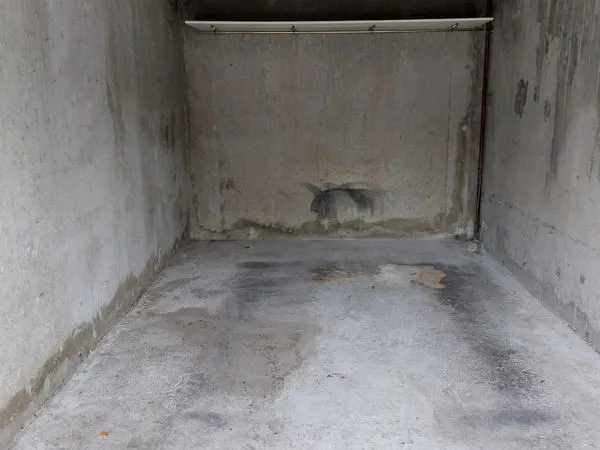 Garage extérieur fermé