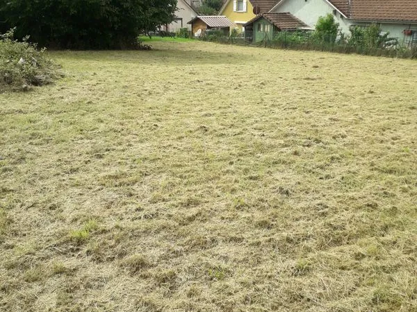 Terrain à construire