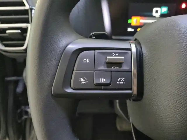 Citroën C4 bluehdi 130 s&amp;s eat8 — photo 23