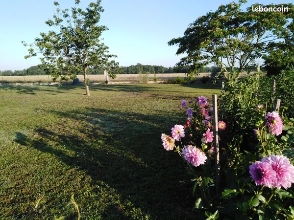 Terrain constructible