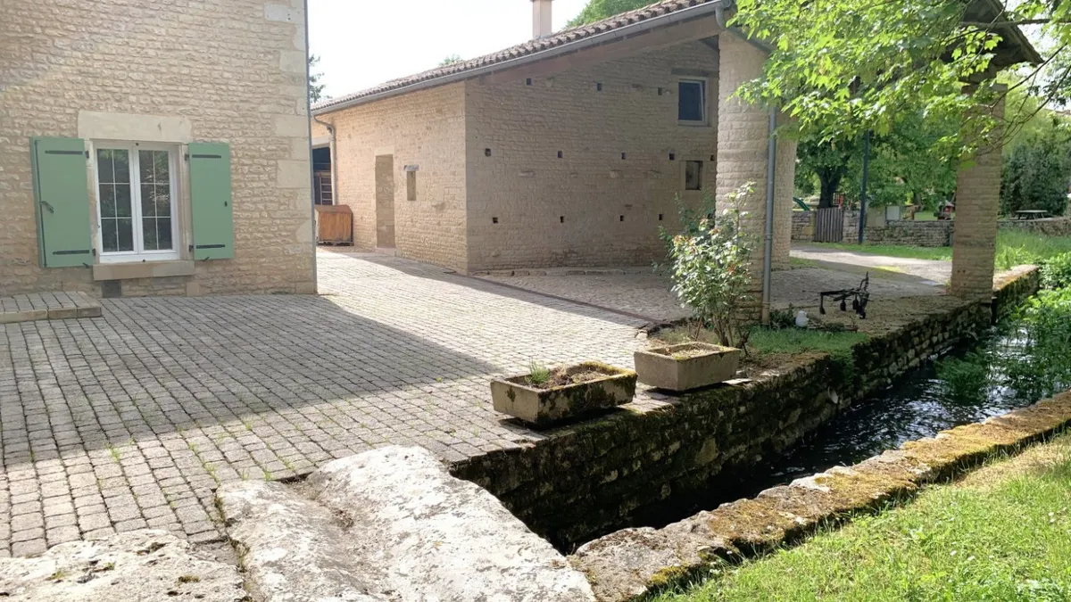 Photo 11