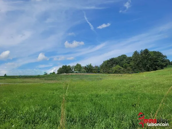 Terrain 1600 m² Hagenthal-le-Bas