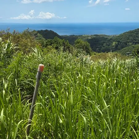 Terrain constructible