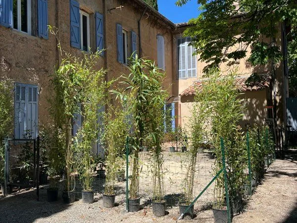 Appartement libre de suite Aix en Provence