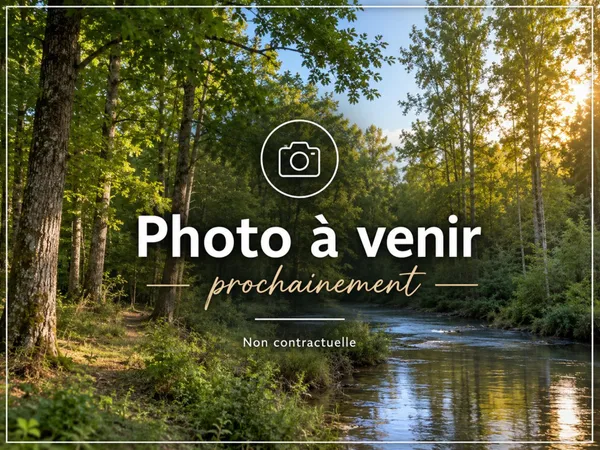Terrain boisé de production avec rivière - Marne