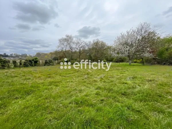 Terrain 4236 m²