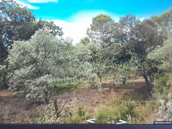 Terrain agricole