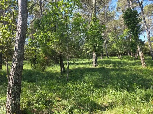 Terrain 847 m²