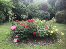 TRES BEL APPARTE F3 AVEC VUE MAGNIFIQUE SUR UN JOLI PARC A