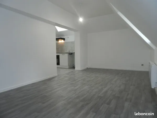 Appartement T2 60m2 centre ville