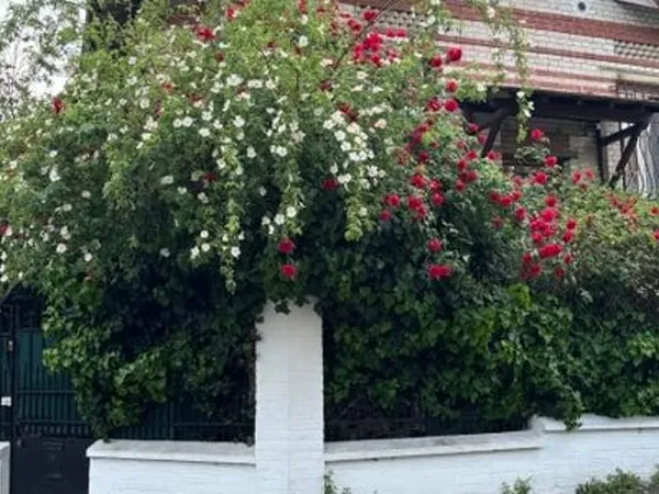 Maison 5 pièces 118 m²