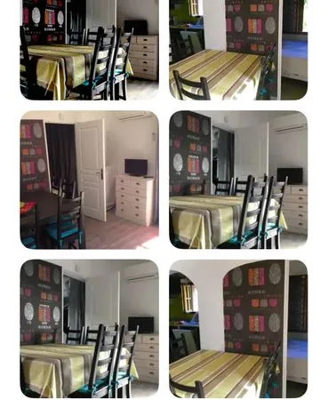Appartement Location Pietrosella 2p 36m² 650€