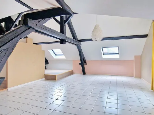 Beau loft de 122m² au coeur de Saint-Dié-des-Vosges
