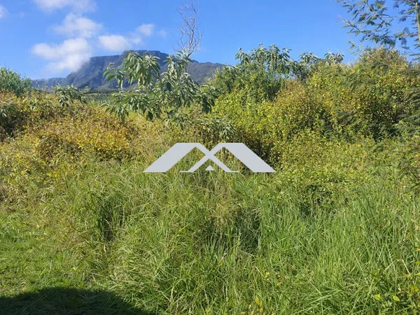 Terrain 493 m² - 400 m² constructible Grand Coude