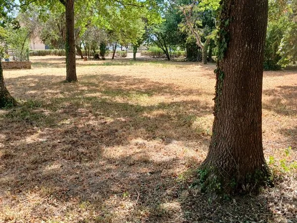 Grand terrain constructible à Montbeugny